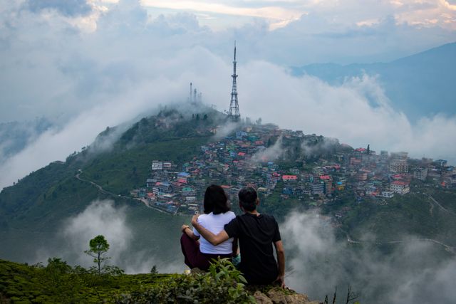 Darjeeling toy train and tea gardens