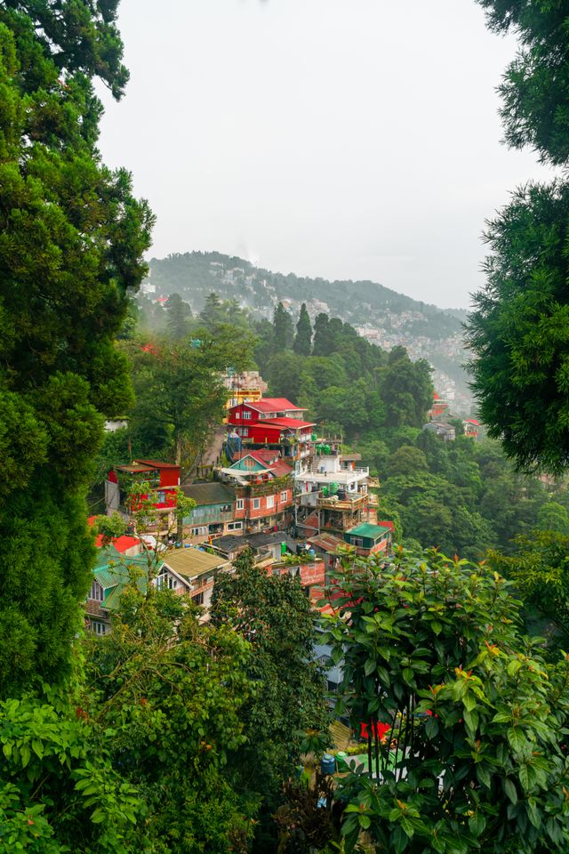 Kalimpong hillside and monastery roof